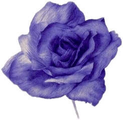 Blue Rose Flower Naruto Image Ino Yamanaka - Blue Watercolor Purple Rose Tumblr Background Png