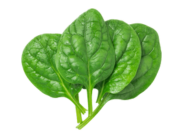 Green Spinach PNG File HD