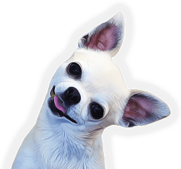 Dogs Transparent Png Images - Chihuahua Png