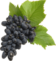 Black Grapes PNG File HD