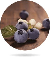 Organic Blueberry - Bionest Agricultura EcolÃ³gica Bilberry Png