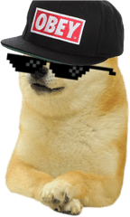 Pet Simulator Tynker - Doge Meme Template Png