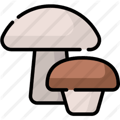 Mushrooms - Wild Mushroom Png