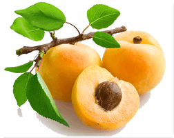 Apricot Png Picture