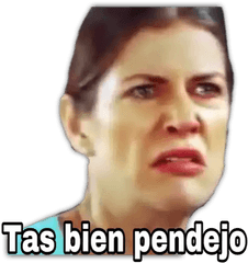 Memes Random - Tas Bien Pendejo Meme Png