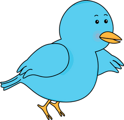 Bird Clipart Png Transparent - Bird Clipart Transparent Background