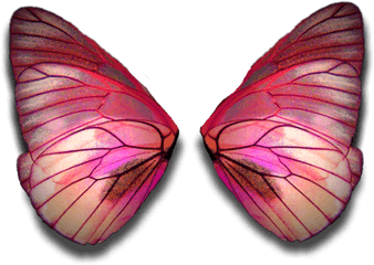 Fairy Wings Butterflywings Sticker - Red Fairy Wings Png