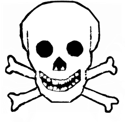 Icon Skull 1024x1024 - 1024 X 1024 Pixels Png