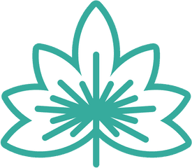 Maple Foliage Nature Leaf Icon Line Green - Canva Language Png