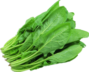 Spinach Png - Green Leafy Vegetables Png