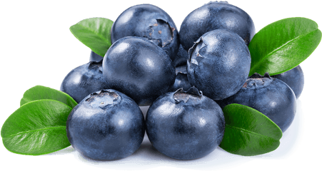 Blueberries Png - Transparent Background Blueberry Png