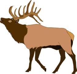 Transparent Elk Clipart - Transparent Elk Clipart Png