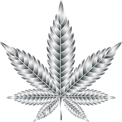 Leaf Cannabis Symmetry Silhouette Multiculturalism - Weed Transparent Background Cannabis Clipart Png