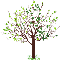 Spring Tree With Snowdrops Png Clipart Picture - Spring Tree Clipart