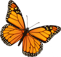 Resources For Undocumented Students - Daca Butterfly Png