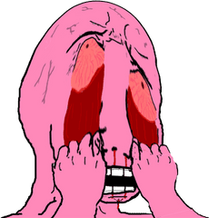 Download 170 Kb Png - Pink Wojak Math