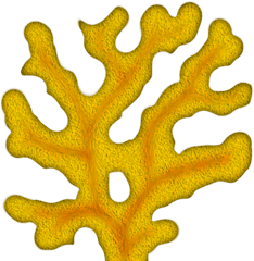 Clipart Png Download Free Clip Art - Coral Png Clipart