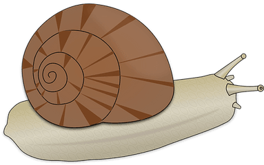 Free Slow Snail Vectors - SlimÃ¡k Png