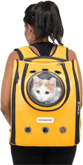 Pioneer Cat Backpack Catexplorer Png Back Pack