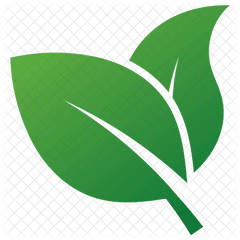 Herbal Leaves Design Icon Of Flat Style - Illustration Png