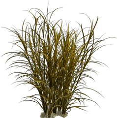 Download Ornamental Grass Png Image - Transparent Background Dry Grass Png