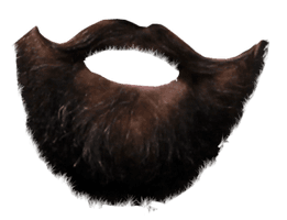 Beard Png Image