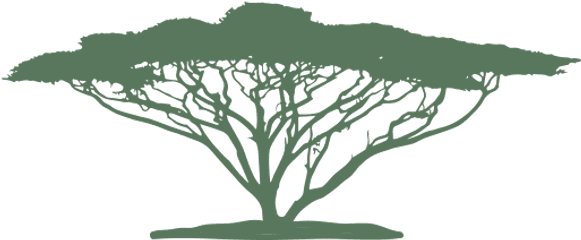 Siteicon - Tree Png