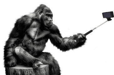 Gorilla Png Image - Gorilla Png