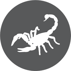 Scorpion Brave And - Lua Cheia Em Escorpiao Png