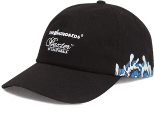 Balenciaga World Food Programme Hat - Schwarze Cap Png