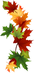 Leaf Fall Leaves Clip Art Beautiful Autumn Clipart - Laub Autumn Clipart Transparent Png