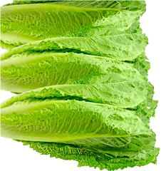One Source Of Romaine Related E Coli Outbreak Found So Far - Superfood Png