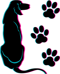 Head To Paws Mobile Dog Grooming Salon - Transparent Background Dog Paw Png