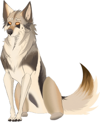 Sitting Man - Wolfdog Png