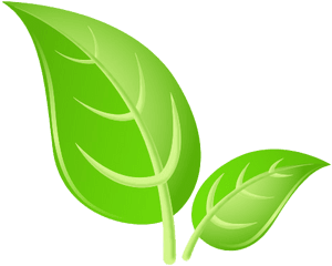 Green Leaves Png Images Hd Play - Green Leaf Png Hd