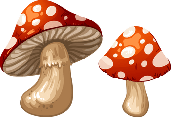 Mushroom Clipart Png - Mushrooms Clipart Png