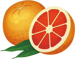 Orange Icon - Rangpur Png