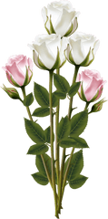 Download Bouquet Rose Pink Flower Plant Free Image - Rose Flower Bouquet Transparent Background Png