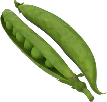 Green Pea Free Clipart HQ - Free PNG