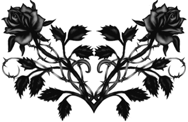 Download Black Rose - Transparent Black Rose Png