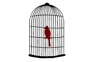 Caged Bird Images Free HQ Image - Free PNG