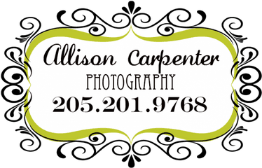 Allison Carpenter Photography Birmingham Alabama - Origins Ready To Wear Png