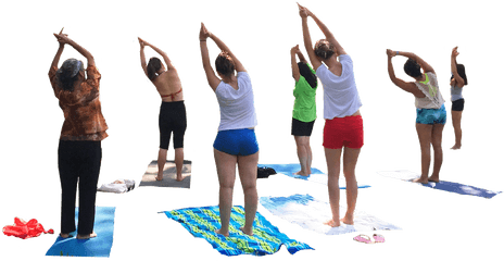 Download Hd Potted Socrates - Yoga People Png Transparent People Doing Yoga Png