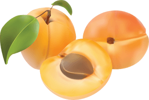 Apricot Up Close PNG File HD