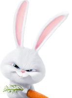 Life Pets Of Snowball Photos Secret Rabbit - Free PNG