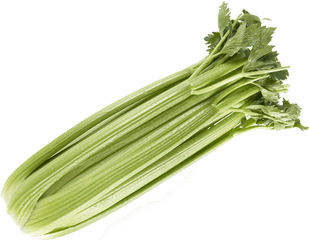 Duda Farm Fresh Foods Products - Chicory Png