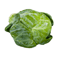 Sprouts Brussels Photos Download Free Image - Free PNG