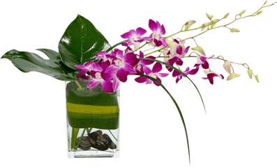 Tropical Flowers Png - Tropical Breeze 17042593840 Bouquet Vase