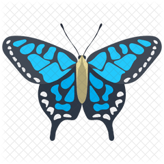 Adonis Blue Butterfly Icon - Butterfly Png