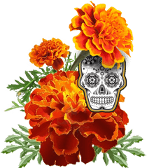 Dead Flower Graphic Freeuse Png Files - Dia De Los Muertos Marigold Png